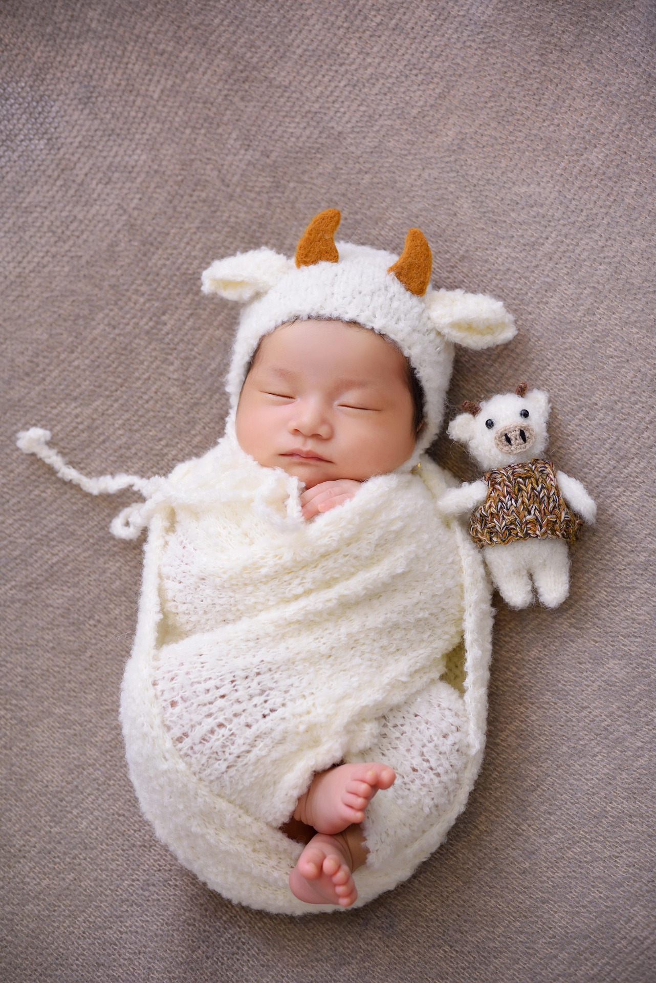 newborn-6177485_1920